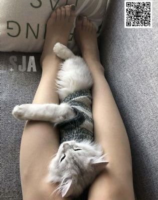 4虎永久