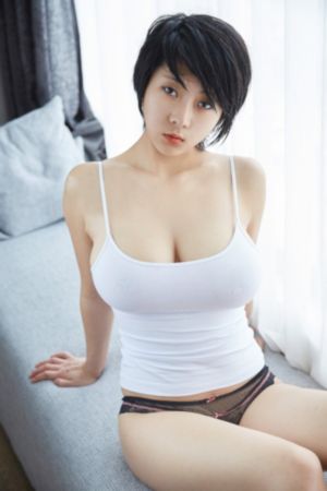 杨门女将之穆桂英挂帅