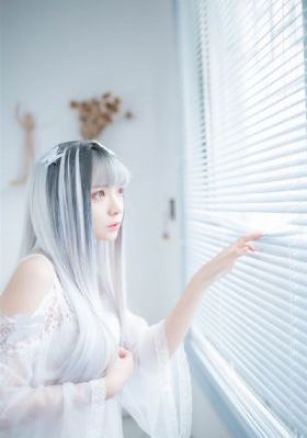 双重任务电视剧